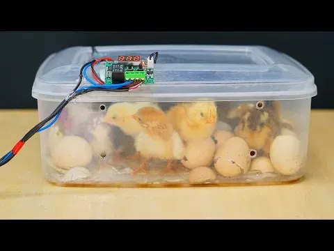How to make a mini Egg Incubator at home   || Hatched-Result ||