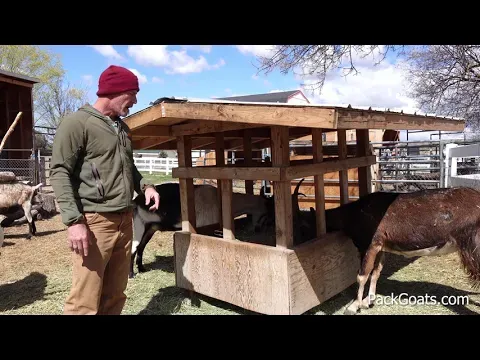Why the Marc Warnke Horned Goat Feeder Design Works