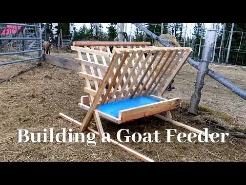Building a goat feeder that actually works?!