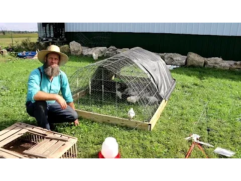 CHICKEN COOP FOR $50 AND 1 HOUR TO BUILD