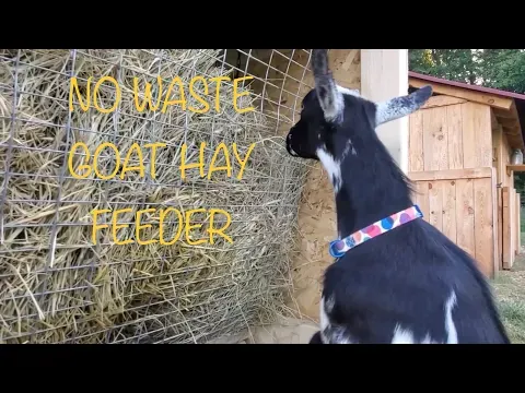 NO WASTE Goat Hay Feeder
