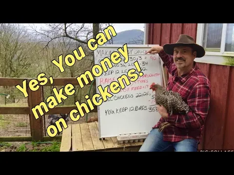 Yes you can make money on chickens, this is what I did.