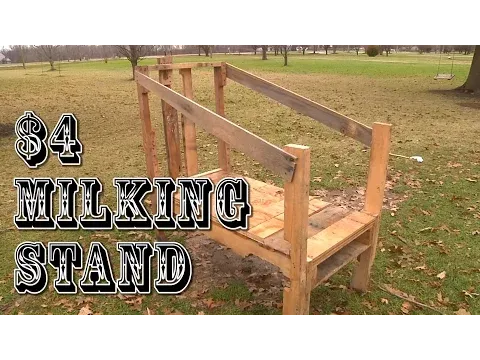 milking stand for goats and other small animals