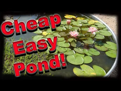 How To Make A Container Pond - Stock Tank Pond - Solar Powered!