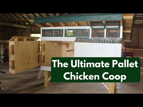 Pallet Chicken Coop Build | It's basically blast-proof!