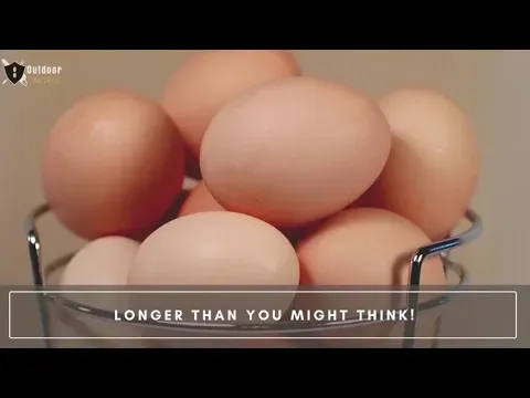 How long do Farm Fresh Eggs Last [and How Best to Store Them!]