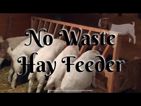 No Hay Waste Goat Feeder