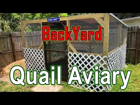 BackYard Quail Aviary - Keeping Coturnix Quail in an outdoor setting.