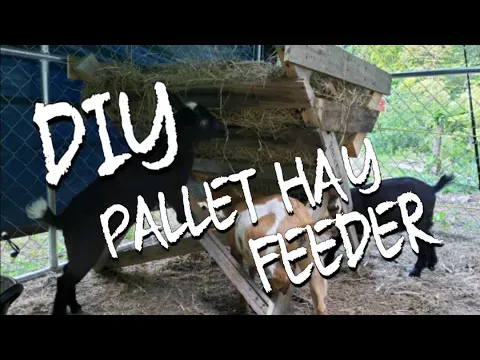 DIY: How to BUILD a GOAT Hay Feeder from a PALLET, FREE HAY FEEDER