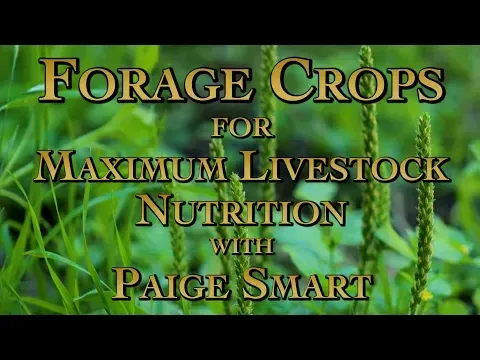 Forage Crops for Maximum Livestock Nutrition with Paige Smart