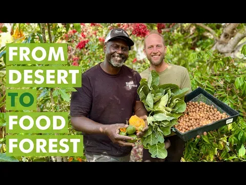 From Desert to Food Forest - A Transformation through Soil Regeneration!