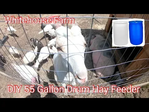 DIY 55 Gallon Plastic Barrel Hay Feeder