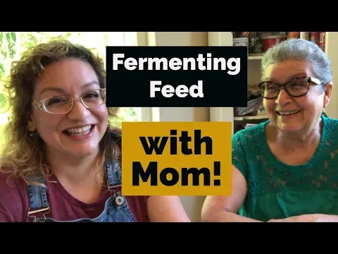 How to Ferment Chicken Feed | Fermenting Feed for Backyard Chickens