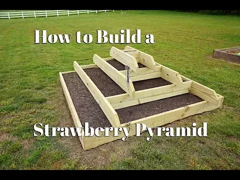 How to build a Strawberry Pyramid