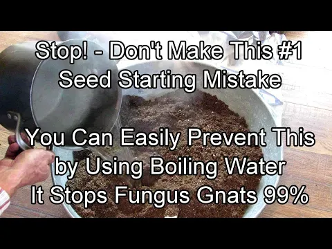 How to Prevent this #1 Seed Starting Mistake - Boiling Water & Fungus Gnats: Two Minute TRG Tips