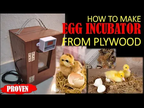 HOW TO MAKE EGG INCUBATOR FROM PLYWOOD | PROVEN ITEM | DIY |