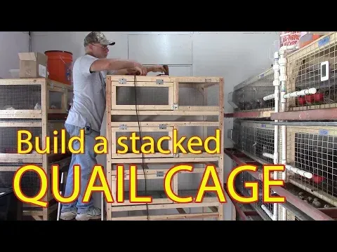How to: Build a Stacked Quail Cage