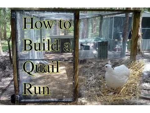 How to build a Quail or Chicken Run.mp4