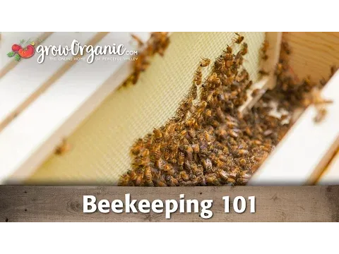Beekeeping for Beginners -- Hive Set Up