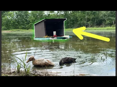 DIY BUDGET FLOATING DUCK HOUSE!!