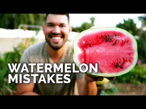 6 Watermelon Growing Mistakes To Avoid 🍉