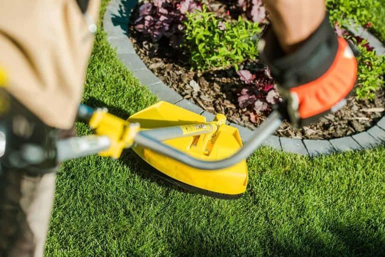 The 5 Best Electric Corded String Trimmers for Your Garden – Bye-Bye Weeds!