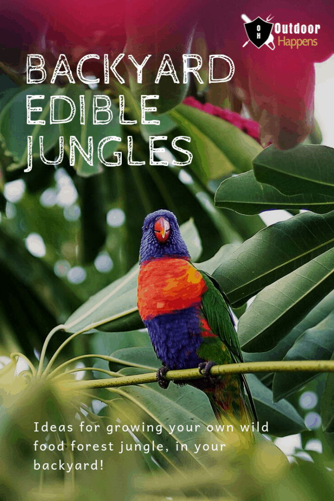 backyard-edible-jungles-garden