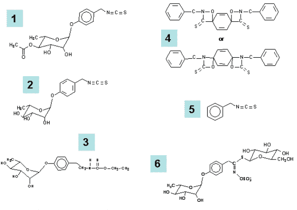 Moringa-compounds
