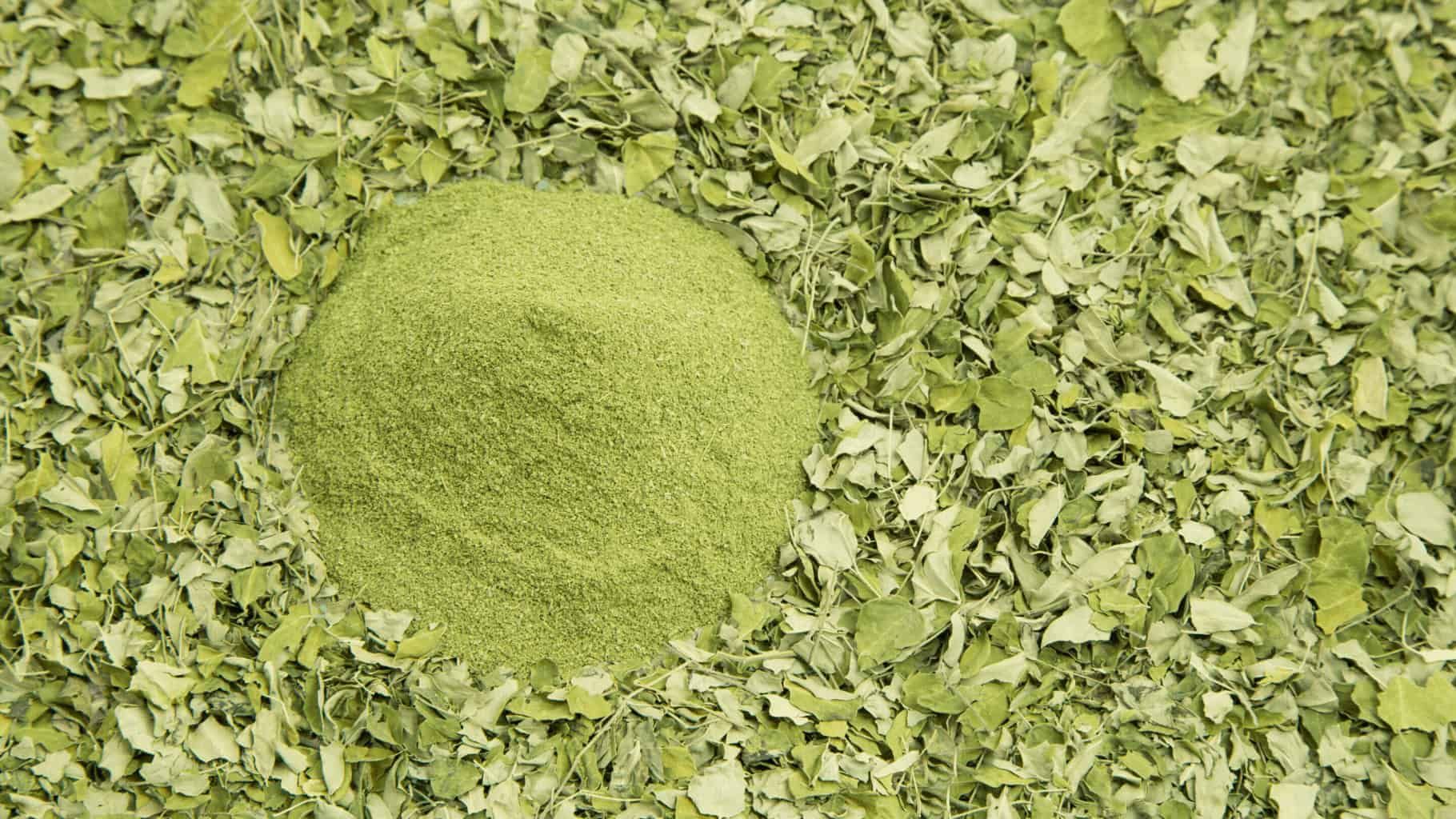 how-to-make-moringa-powder