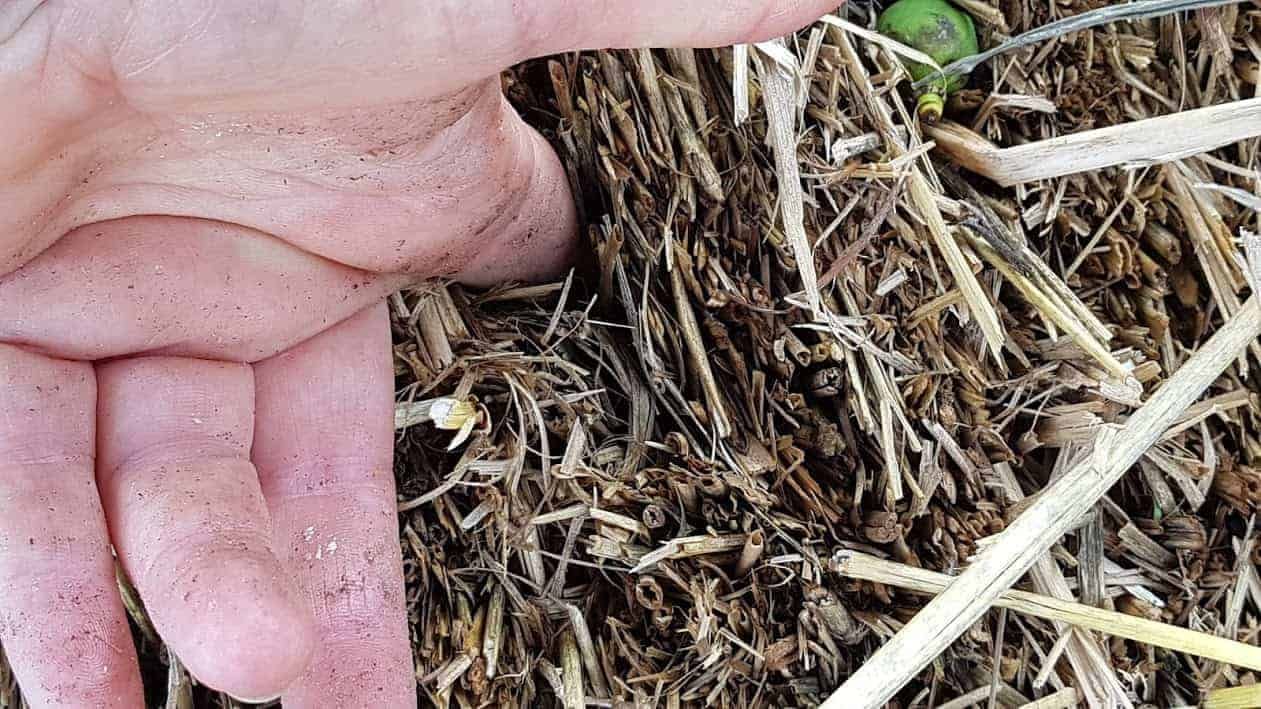 straw-bale-gardening-finger-test