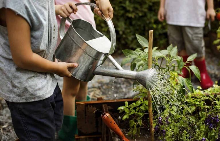 Mittleider Gardening Method – More Food From Your Garden!