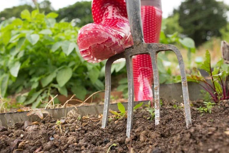How to Till a Small Garden Without a Tiller – 14 Ways of Tilling That Are Not Tractors