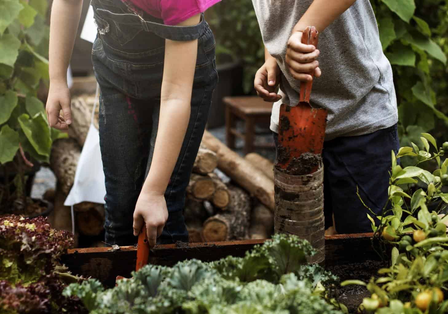 gardening-and-digging -in-soil