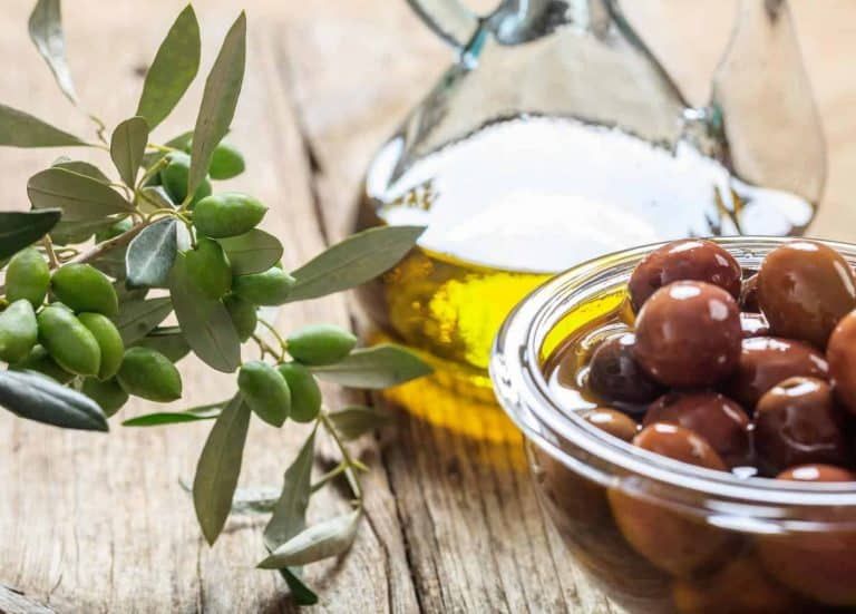 How to Grow an Olive Tree and Make Olive Oil