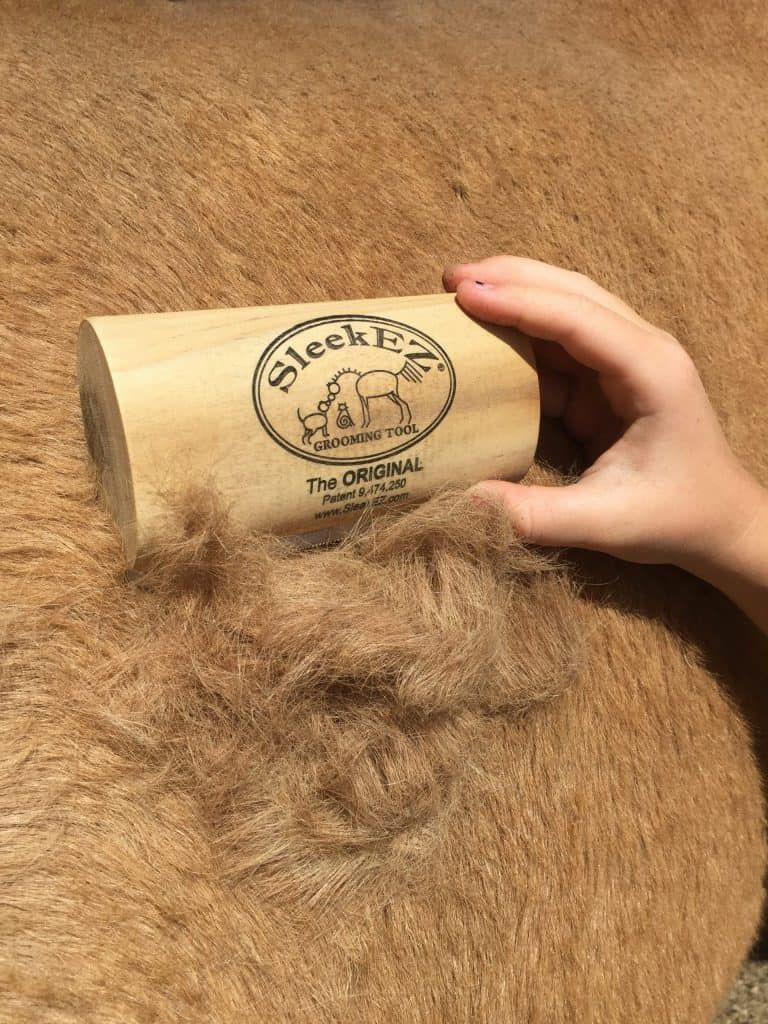 My SleekEZ Brush Review – Tried and Tested on Horses and Dogs [With Video!]