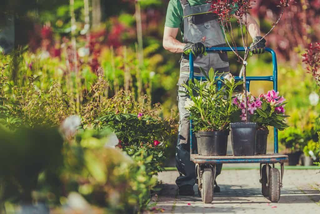 best-garden-cart-types