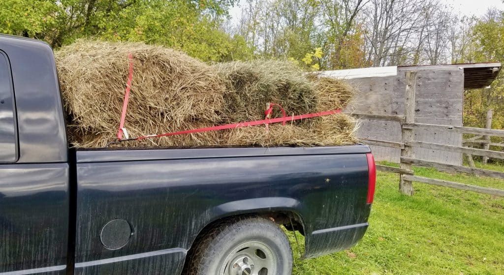 First load of hay and the outside of the goat and chicken barn