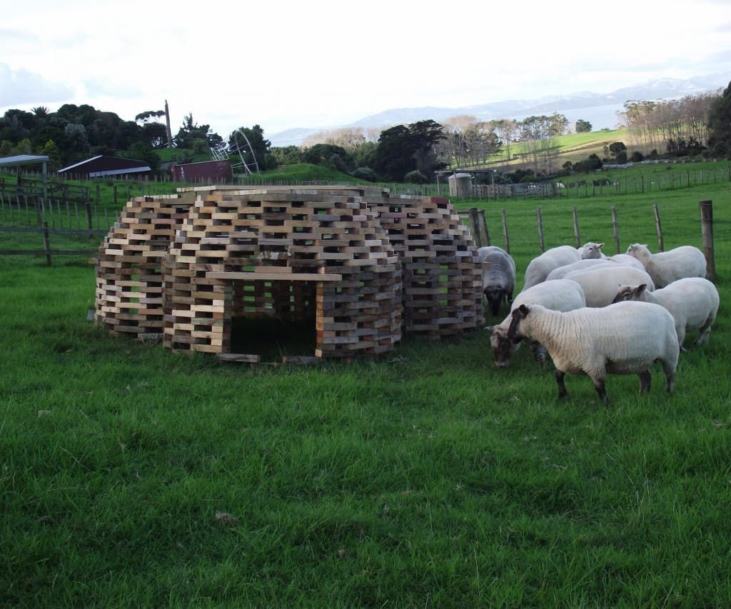 goat-hive-shelter