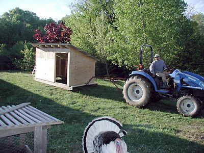 rooster-hill-farm-shelter