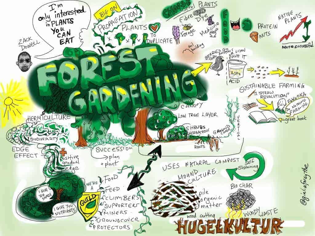 forest-gardening-hugelkultur-food-forest-sustainable-farming