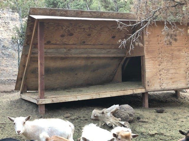 goat-shelter-ideas-plans