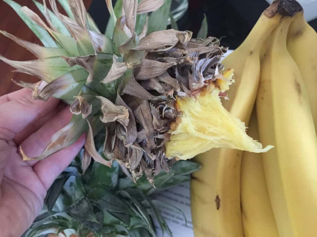 grow-pineapple-from-scraps