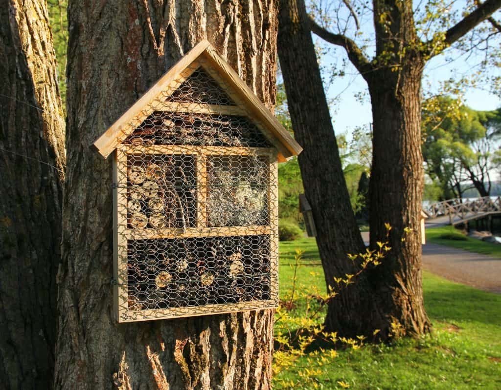 Insect-hotels-on-garden-trees