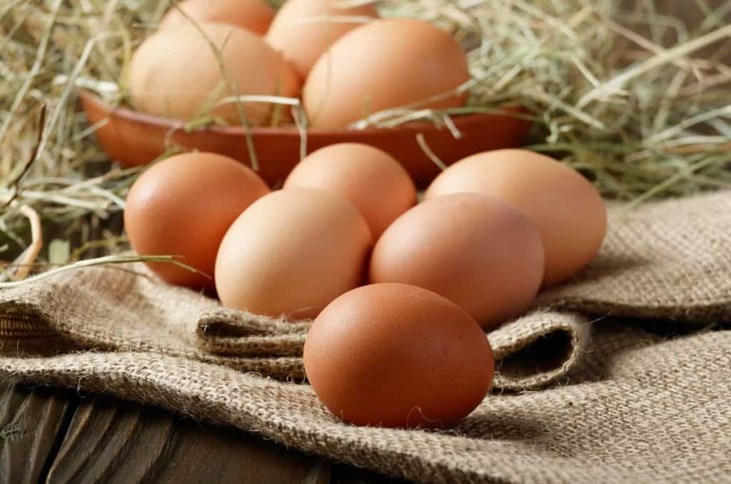 why-do-chickens-eat-their-own-eggs
