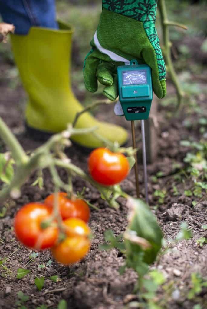 best-soil-thermometer-buyers-guide
