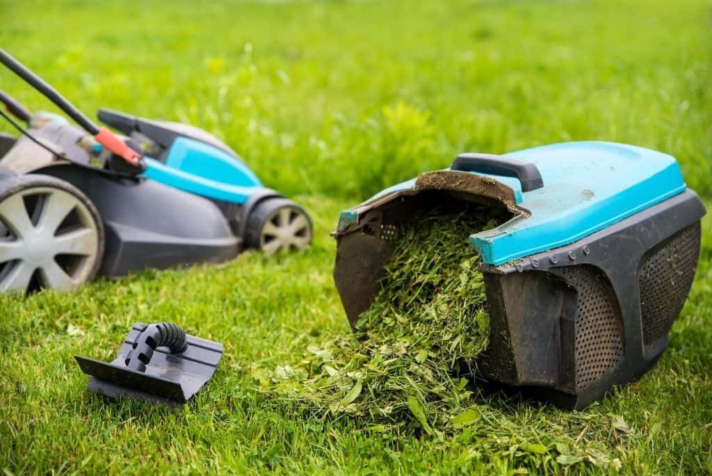 how-to-choose-the-best-lawn-mower