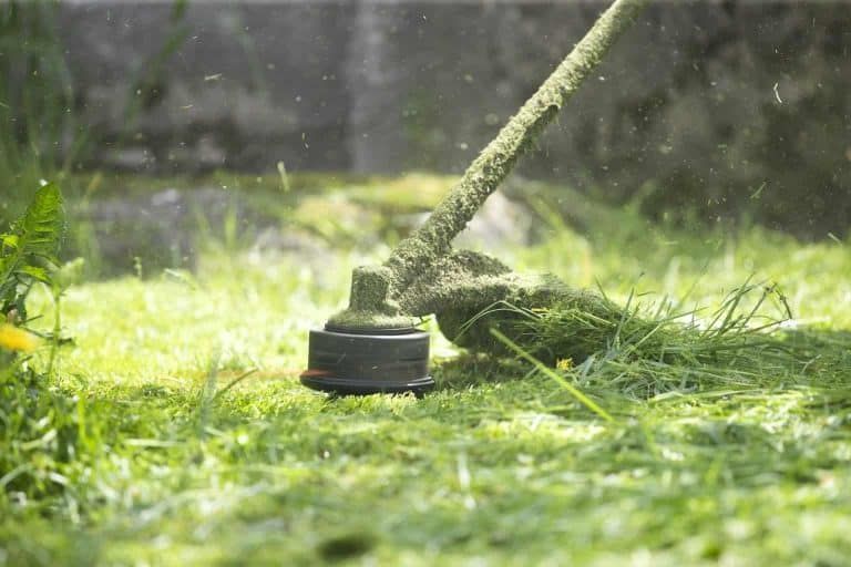 Pros and Cons of An Edger vs Trimmer for Your Lawn