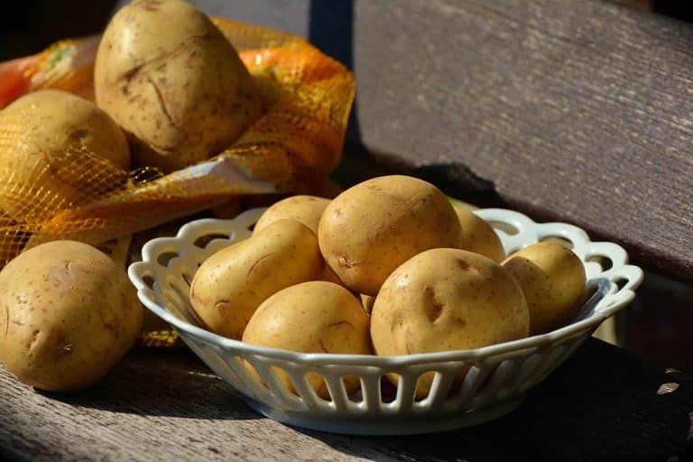 Indeterminate Potatoes vs Determinate Potatoes – Growing Tips, Facts, and More!