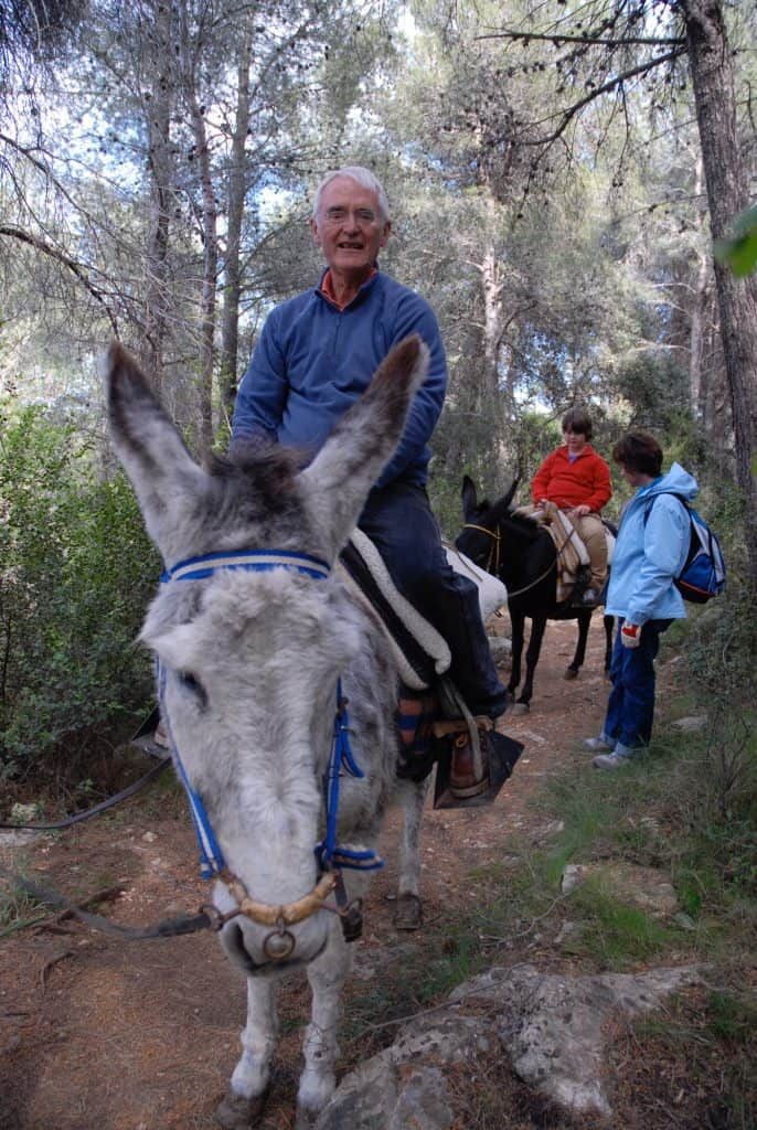 training-a-donkey-for-saddle