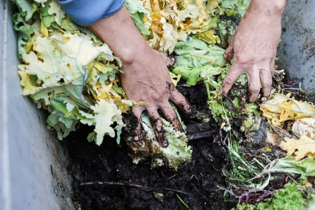 what-to-add-to-compost